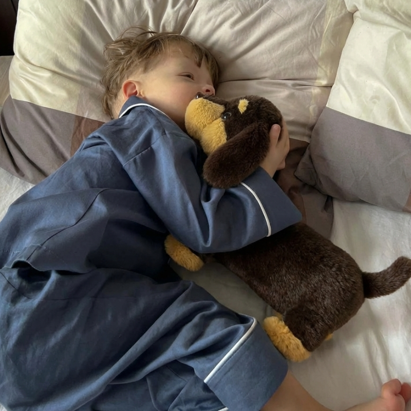 Eliska Sausage Dog Plush Toy — Soft Comfort Companion