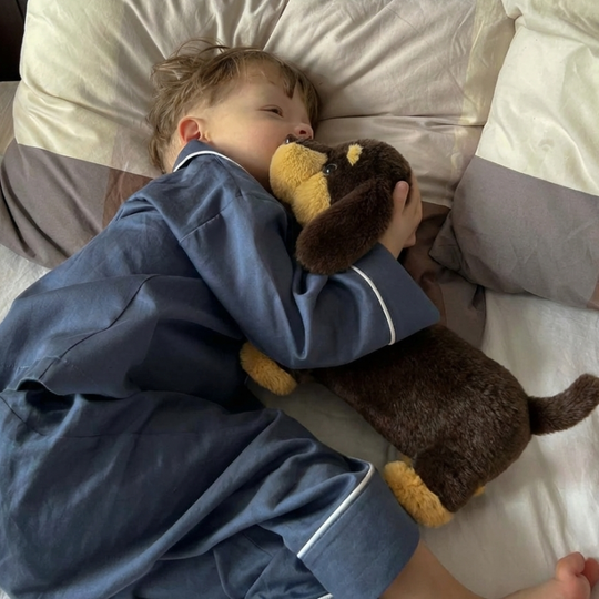 Eliska Sausage Dog Plush Toy — Soft Comfort Companion